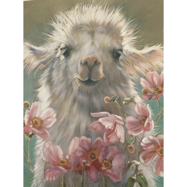 1980s 1980s Nancy Noel Print of Baby Llama. For Sale - Image 5 of 8