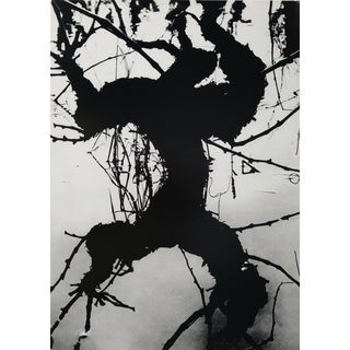 Lucien Clergue, Camargue secrète, Etching For Sale