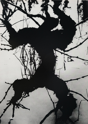 Lucien Clergue, Camargue secrète, Etching
