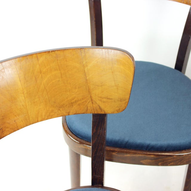 Wood Vintage Tatra Dining Chairs, Czechoslovakia, 1950s, Set of 4 For Sale - Image 7 of 17