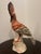 Mid 20th Century Eximious Italian Mid 20th Century Pair Porcelain Hoopoe Birds For Sale - Image 5 of 14