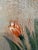 Original Floral Oil Painting “Golden Bloom” by Alena Kalen Framed Textured, Coa For Sale In Jacksonville, FL - Image 6 of 13