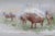 Figurative Late 19th Century Joseph Schachtel Porcelain Wildlife Game Set 8pc With 7 Plates 1 Platter For Sale - Image 3 of 18