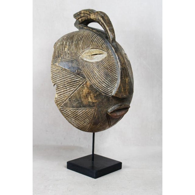 The Songye mask is an extraordinary and culturally significant art piece originating from the Songye people of the...