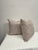 Pair of Decorative Pillows With Button and Cord Detail For Sale - Image 9 of 14