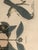 Pair 19th C Hand Colored Engravings of Extinct Species For Sale - Image 12 of 15