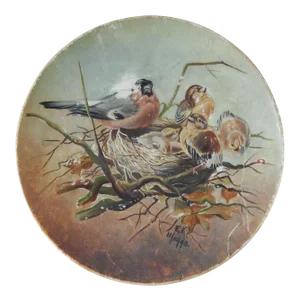 Antique 1890 Hand Painted Bird Plate