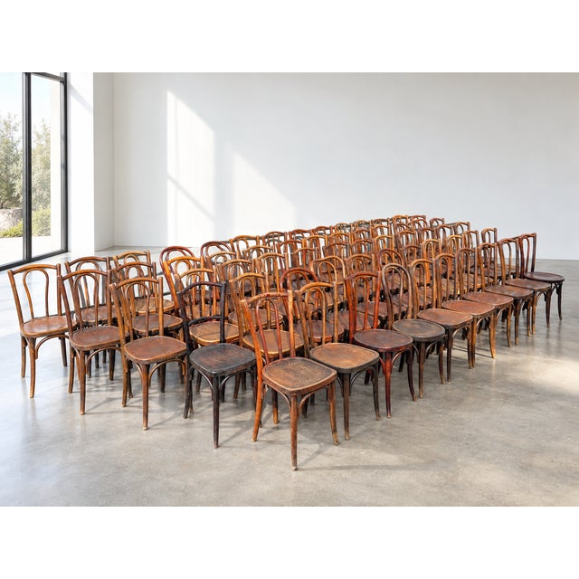 French Wood Bistro Chairs in the style of Thonet, France, 1940, Set of 60 For Sale - Image 12 of 13