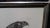 Gray Description De l'Égypte Imperial Eagle Engraving, Savigny, Barraband, Circa 1826 For Sale - Image 8 of 12