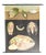 Mollusc School Poster by Jung, Koch, & Quentell for Hagemann, 1970s For Sale