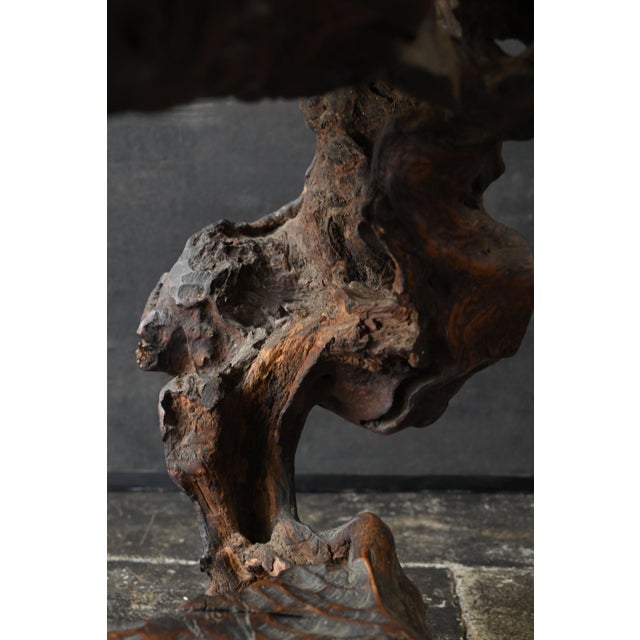 Wood Antique Japanese Burl Wood Display Stand / Meiji-Showa / Organic One-of-a-Kind For Sale - Image 7 of 18