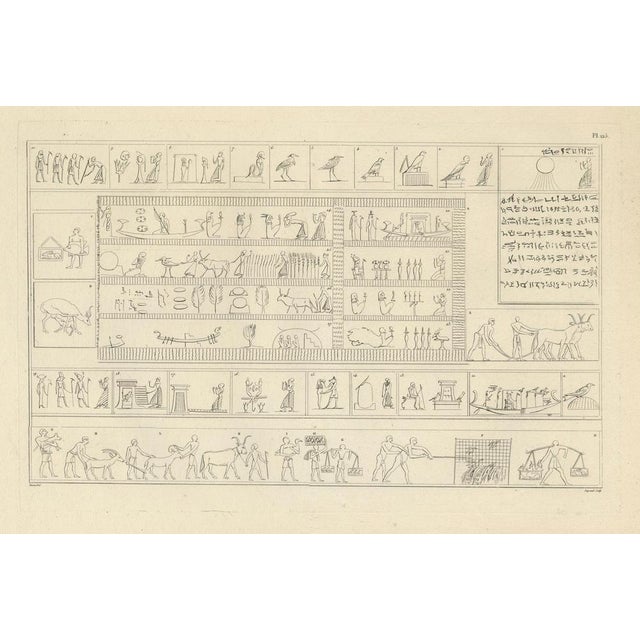 Egyptian Processions and Daily Life Reliefs, 1802, Paper For Sale - Image 3 of 9