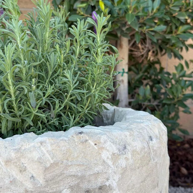Vintage Limestone Trough Medium Size With Sea Fan Fossilization For Sale - Image 9 of 9
