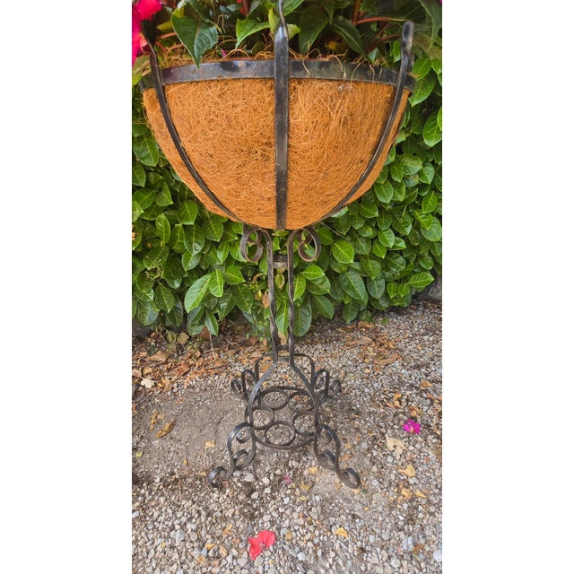Iron Planters, 1930, Set of 2 For Sale - Image 9 of 10