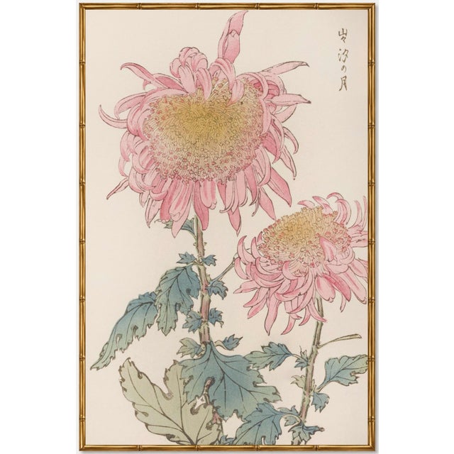 Two Pink Chrysanthemums by Hasegawa, Vintage Japanese Botanical Art Print, 36" X 54" For Sale In Buffalo - Image 6 of 10