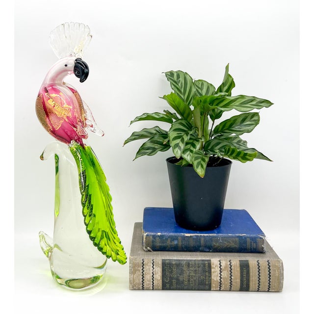 Exquisite, blown glass cockatoo made in the style of Alfredo Barbini. This handsome guy features a brilliant pink body and...