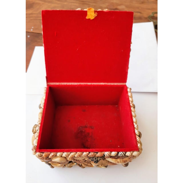 Red Vintage Coastal Encrusted Shell Box For Sale - Image 8 of 12