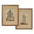 19th Century Botanical Antique Engraving Matted Framed - a Pair For Sale