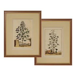 19th Century Botanical Antique Engraving Matted Framed - a Pair