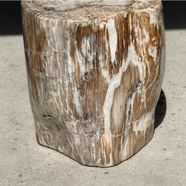Large Side Table in White and Grey Petrified Wood For Sale - Image 13 of 18
