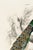 Vintage natural history peacock artwork reproduced from a historical source and refined for modern printing. The...