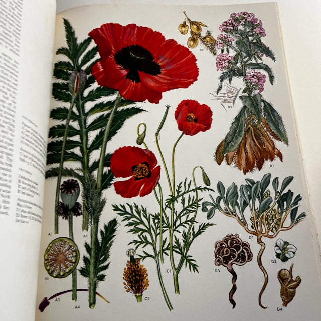 Paper 1970 Wild Flowers of the World Book For Sale - Image 7 of 11