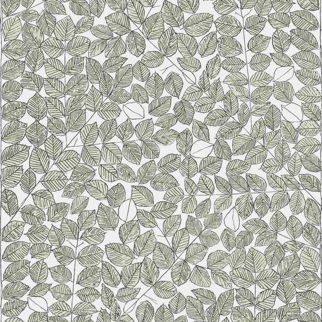 SAMPLE - Boråstapeter Romans Wallpaper In Leaf For Sale