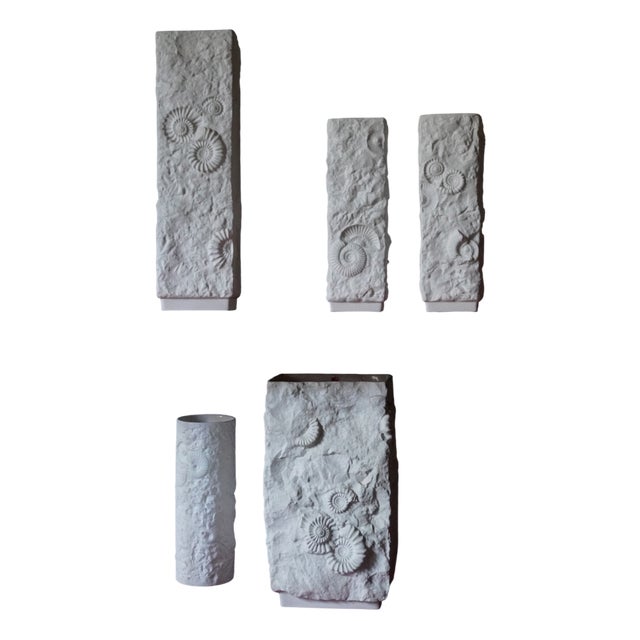 Vintage German Vases with Fossil Design in Biscuit Porcelain from AK Kaiser, 1960s, Set of 5 For Sale