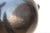 Black Rare Mata Ortiz Bird Effigy Pot For Sale - Image 8 of 9