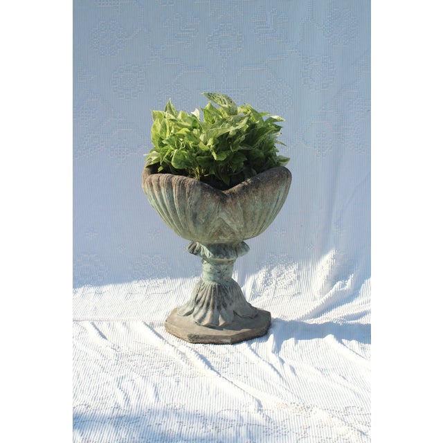 A unique and wonderful concrete planter made of a shell design. Similar to the acanthus leaf planters but using clamshells...