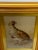British Victorian Watercolour Painting Partridge Game Bird by Frank Paton For Sale - Image 9 of 12