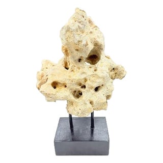 Indonesian Coral Stone On Teak Stand For Sale