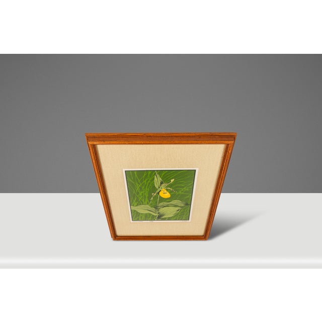 Mid-Century Modern Mid-Century Modern Boho Chic 18/65 Framed & Signed Lithograph Print of a Lady's Slipper Orchid by John Cook, Usa, C. 1960s For Sale - Image 3 of 16