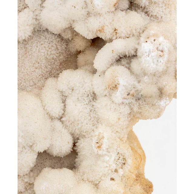 Druzy Quartz Crystal Mineral Specimen For Sale - Image 4 of 6