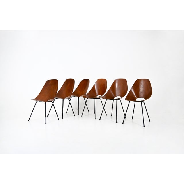 Dining Chairs by Vittorio Nobili for Frattelli Tagliabue, 1950s, Set of 6 For Sale - Image 11 of 11