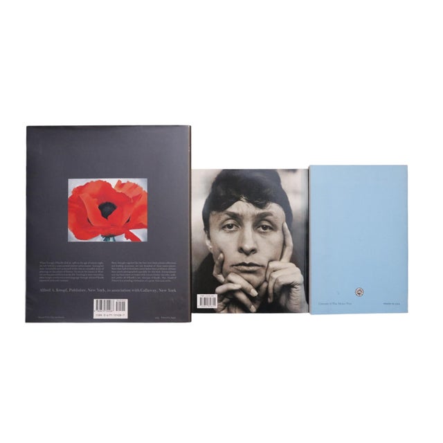 Georgia O'Keeffe Books, Set of 3 For Sale - Image 9 of 9