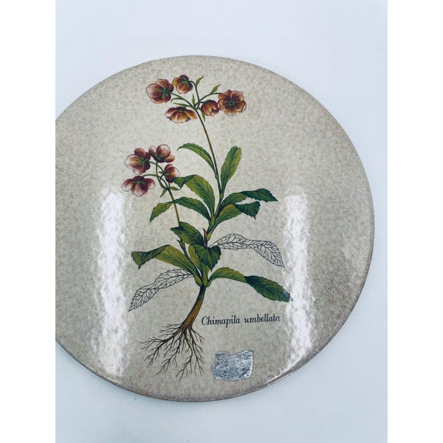 Italian Decorative Wall Plate, 1965 For Sale - Image 4 of 6