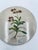Italian Decorative Wall Plate, 1965 For Sale - Image 4 of 6