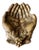 Vintage Cupped Hands Brass Dish For Sale