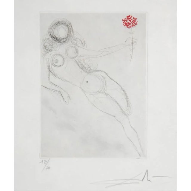 Salvador Dali (1904-1989) Petit nüs Ronsard. H and-coloured etching . Number 12 of 50. Handsigned by Dali. Printet on...