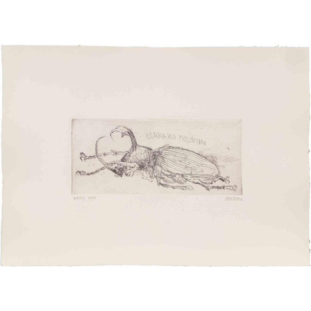 Etching and drypoint realized by Sergio Barletta. Hand signed and numbered. Edition of 30 in roman numbers. Very good...