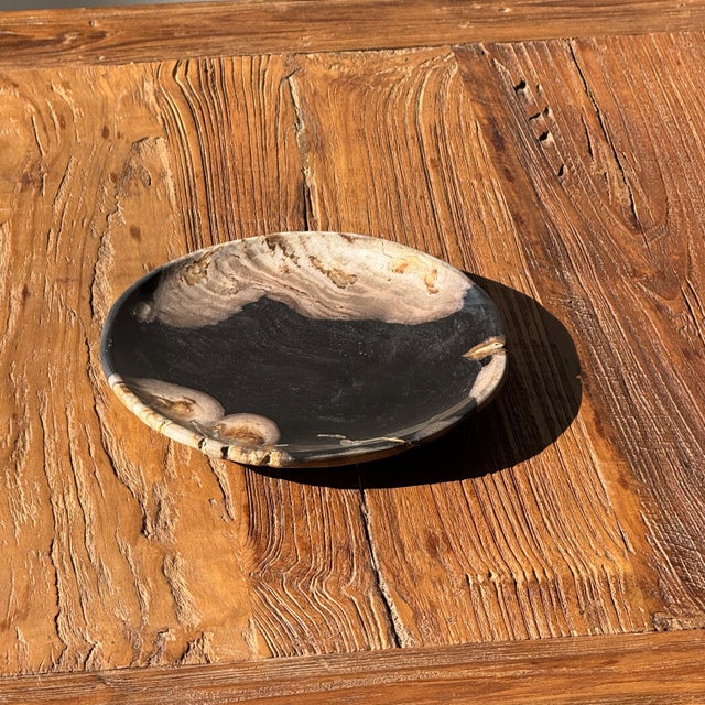 Brutalist Small Trinket Tray or Dish in Black and Beige Petrified Wood, 1980s For Sale - Image 3 of 11