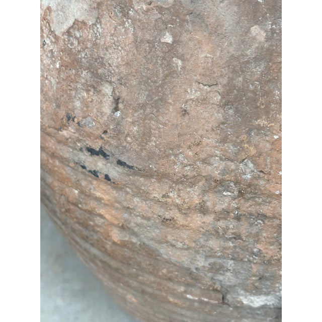 Antique Mediterranean European Terracotta Storage Jar / Olive Jar For Sale - Image 15 of 18