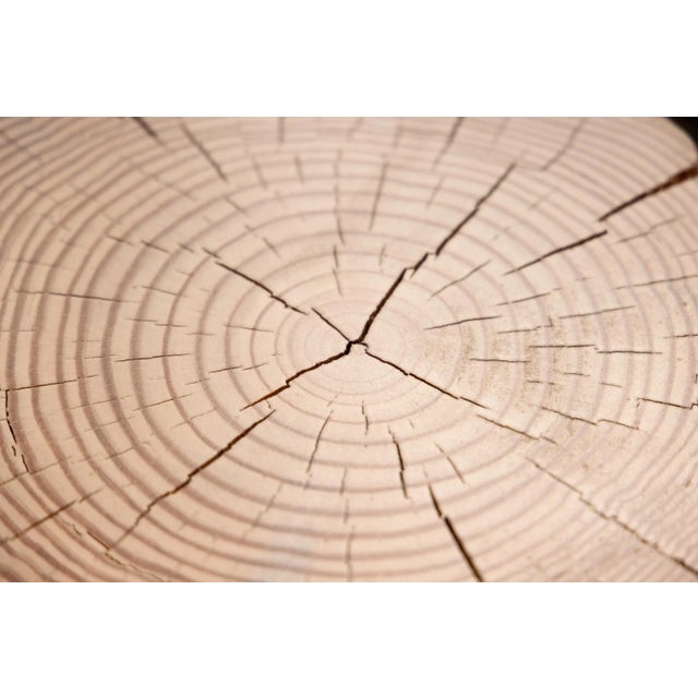 Alabama Sawyer Alabama Sawyer "Hyo" Natural Pine Wood Cube Side Table For Sale - Image 4 of 11