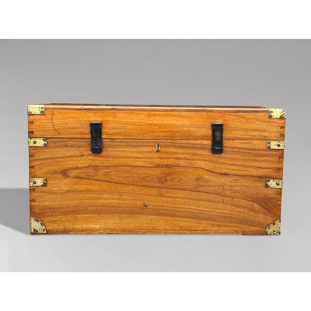 Camphor Wood Campaign Trunk, 1880s For Sale - Image 8 of 11