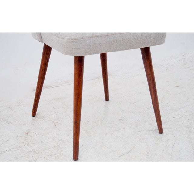 Brown Polish Shells Chairs, 1960s, Set of 4 For Sale - Image 8 of 10