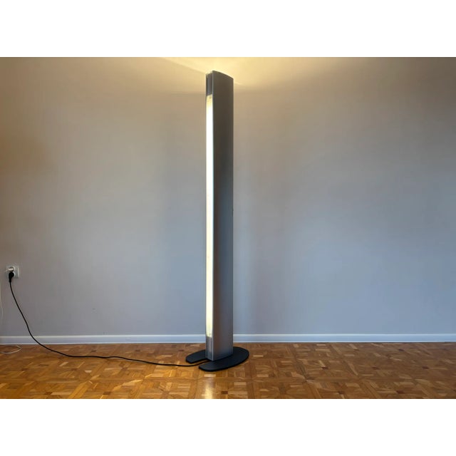 Silver Echos Dimmable Floor Lamp by Jan Van Lierde for Artemide, 1980s For Sale - Image 8 of 18