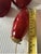 Vintage(8)Christmas Crackle Glass Kugel Style Ornaments Hearts,balls,teardrop Ruby Red Christmas Holiday Decor For Sale - Image 12 of 12