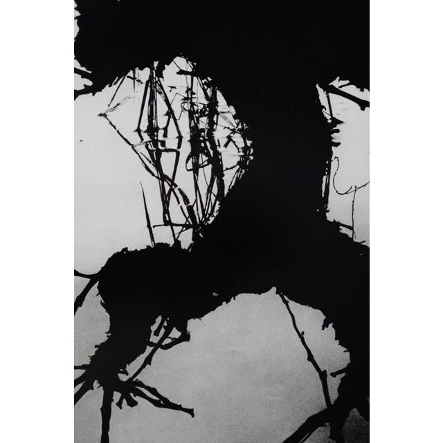 Modern Lucien Clergue, Secret Camargue, 1960, Heliogravure For Sale - Image 3 of 7