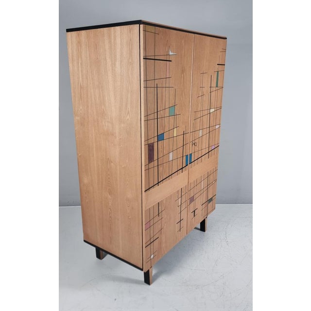 1960s Vintage Wardrobe by Francisek Mezulanik, 1960s For Sale - Image 5 of 14
